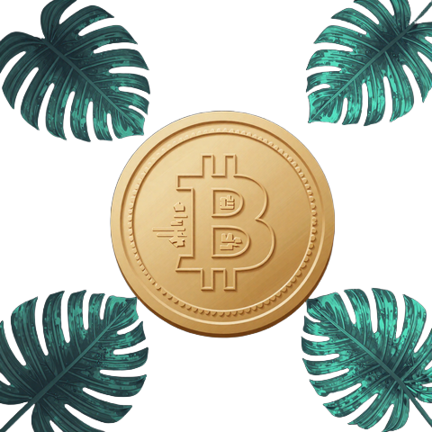 Bitcoin Krypto-Symbol in Gold-T&uuml;rkis f&uuml;r Zahlungen im OnlySpins Online Casino