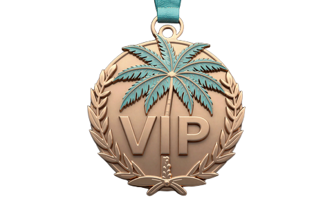 Bronzenes Palmen-Emblem als Symbol f&uuml;r die Bronze-VIP-Stufe im OnlySpins Casino